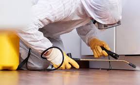 Best Pest Control for Multi-Family Homes  in Belen, NM